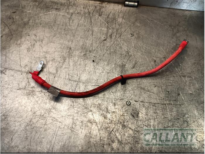 Usagé Câble (divers) Landrover Range Rover Velar (LY) 2.0 16V P250 AWD Prix € 90,75 Prix TTC proposé par Garage Callant