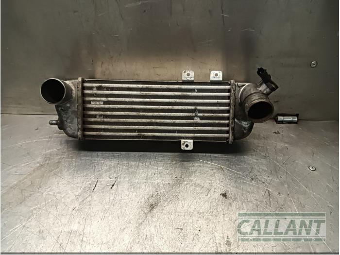Usados Intercooler Hyundai i30 Crosswagon (WWH) 1.6 CRDi 16V VGT LP Precio € 72,60 IVA incluido ofrecido por Garage Callant