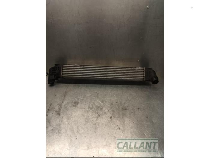 Usagé Intercooler Dacia Duster (HS) 1.5 dCi Prix € 78,65 Prix TTC proposé par Garage Callant