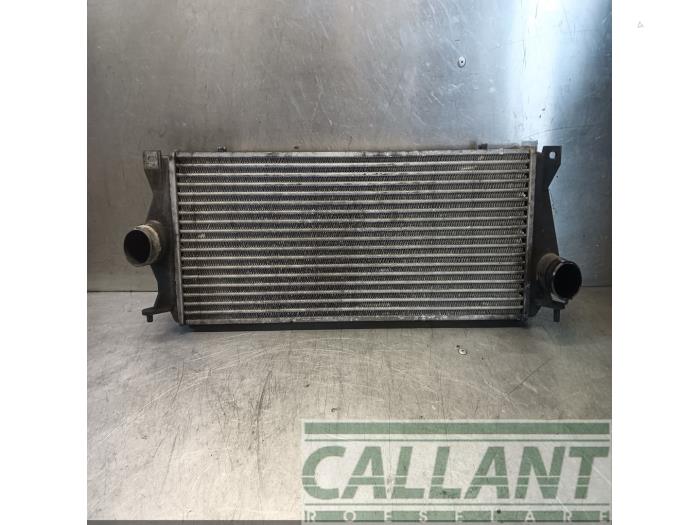 Usados Intercooler Landrover Discovery II 2.5 Td5 Precio € 121,00 IVA incluido ofrecido por Garage Callant