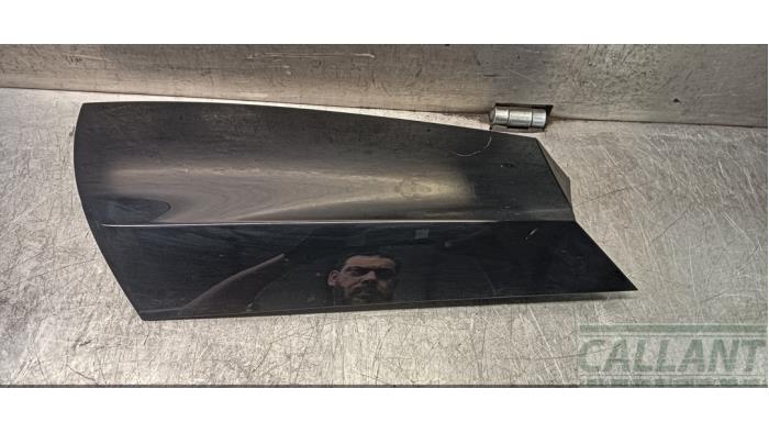 Rear body panel