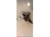 DS DS 4/DS 4 Crossback (NX) 1.6 BlueHDI 115 Knuckle, front left
