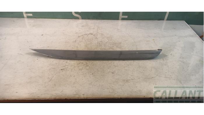 Roof trim bar molding cover