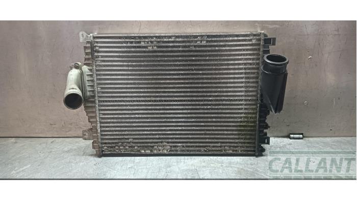 Usagé Intercooler Jaguar S-type (X200) 2.7 D 24V Prix € 121,00 Prix TTC proposé par Garage Callant