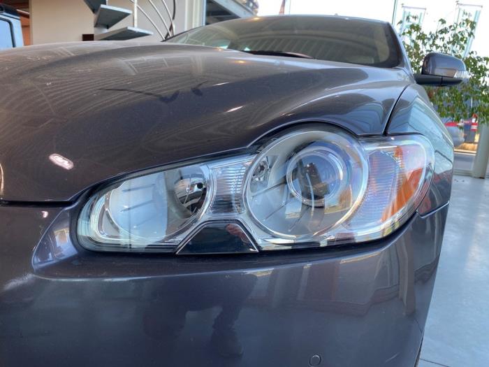 Używane Reflektor lewy Jaguar XF (CC9) 2.7 D V6 24V Cena € 786,50 Z VAT oferowane przez Garage Callant
