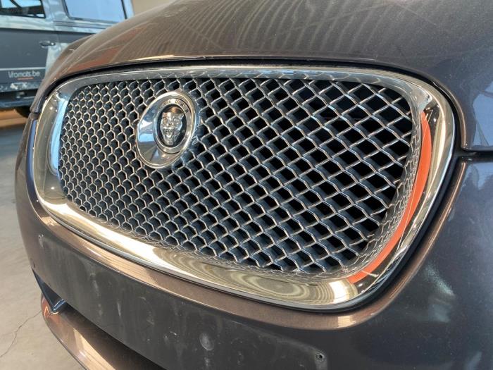 Begagnade Grill Jaguar XF (CC9) 2.7 D V6 24V Pris € 332,75 Inklusive moms erbjuds av Garage Callant