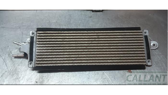 Radiator cooler fan