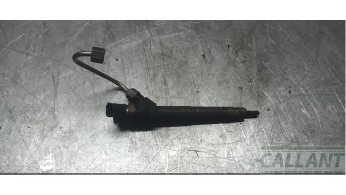 Usagé Injecteurs Jaguar XF (X260) 2.0d 163 E-Performance 16V Prix € 151,25 Prix TTC proposé par Garage Callant
