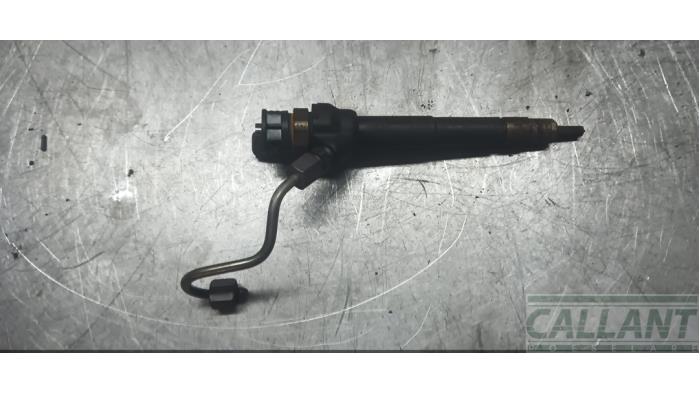 Usagé Injecteurs Jaguar XF (X260) 2.0d 163 E-Performance 16V Prix € 151,25 Prix TTC proposé par Garage Callant