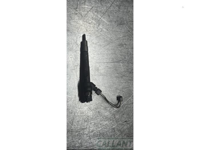 Usagé Injecteurs Jaguar XF (X260) 2.0d 163 E-Performance 16V Prix € 151,25 Prix TTC proposé par Garage Callant