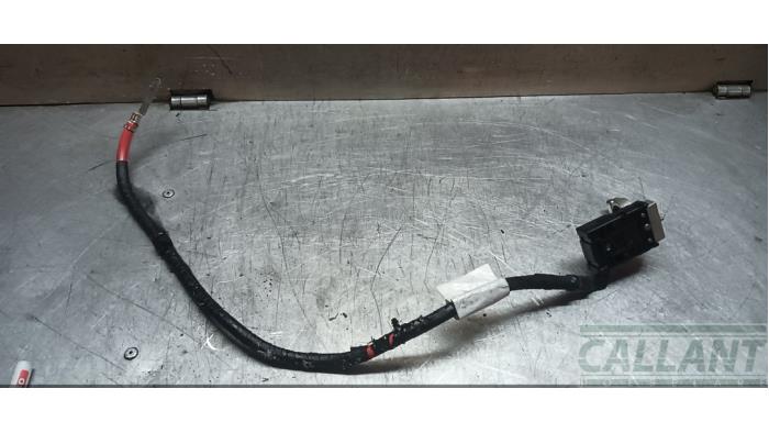 Używane Biegun akumulator Landrover Discovery V (LR) 3.0 Td6 24V Cena € 90,75 Z VAT oferowane przez Garage Callant