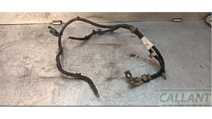 Używane Biegun akumulator Landrover Discovery Sport (LC) 2.2 sd4 16V Cena € 66,55 Z VAT oferowane przez Garage Callant