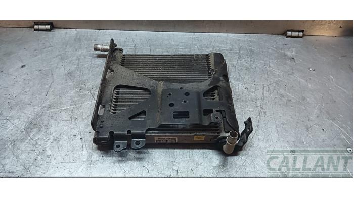 Usagé Radiateur Landrover Range Rover Velar (LY) 2.0 16V P400e AWD Prix € 211,75 Prix TTC proposé par Garage Callant