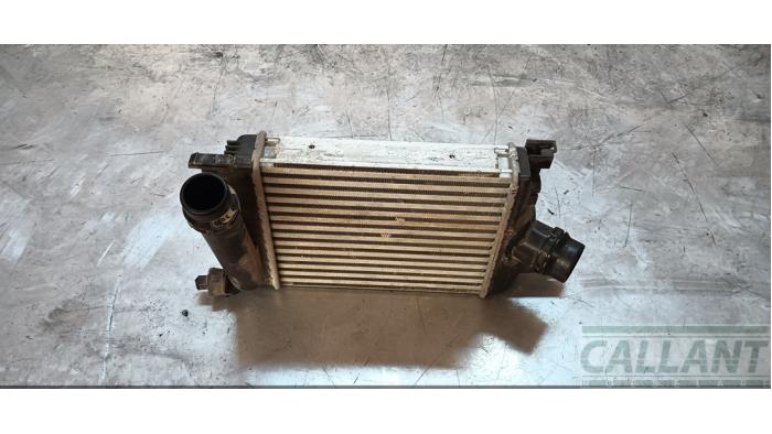 Usados Intercooler Dacia Sandero II 0.9 TCE 12V Precio € 60,50 IVA incluido ofrecido por Garage Callant