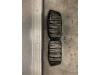 Grill van een BMW 2 serie (F22) M2 Competition 3.0 24V 2019