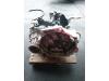 Gearbox from a Volkswagen Touran (1T1/T2), MPV, 2003 / 2010 2012