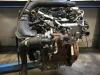 Engine from a Ford EcoSport (JK8) 1.0 EcoBoost 12V 125 2019