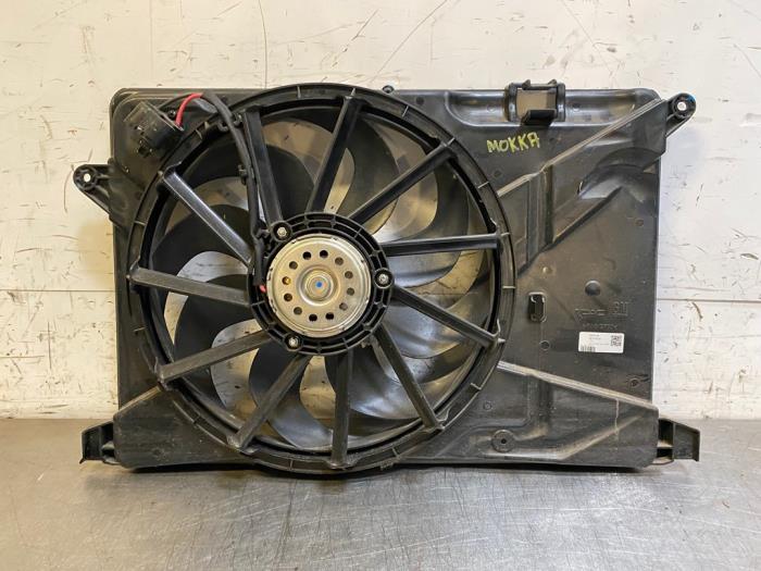 d97de4f0-0022-43d2-8a20- 