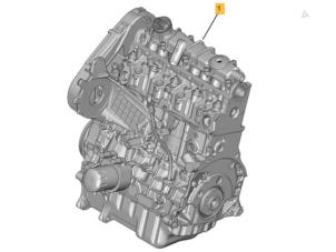 Used Engine Peugeot Partner 1.9D Price on request offered by Autohandel-Smet Gebroeders NV