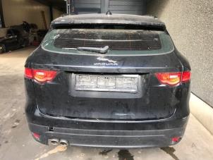 Used Tailgate Jaguar F-Pace 2.0 D 180 16V AWD Price on request offered by Autohandel-Smet Gebroeders NV