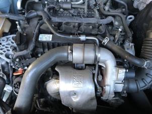 Used Engine Ssang Yong Korando 1.5 e-XGDi 16V 2WD Price on request offered by Autohandel-Smet Gebroeders NV