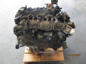 Used Engine Kia Sportage Price on request offered by Autohandel-Smet Gebroeders NV