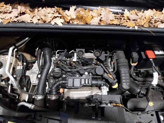 Engine Citroen Berlingo 1.5 BlueHDi 75 DV5RE