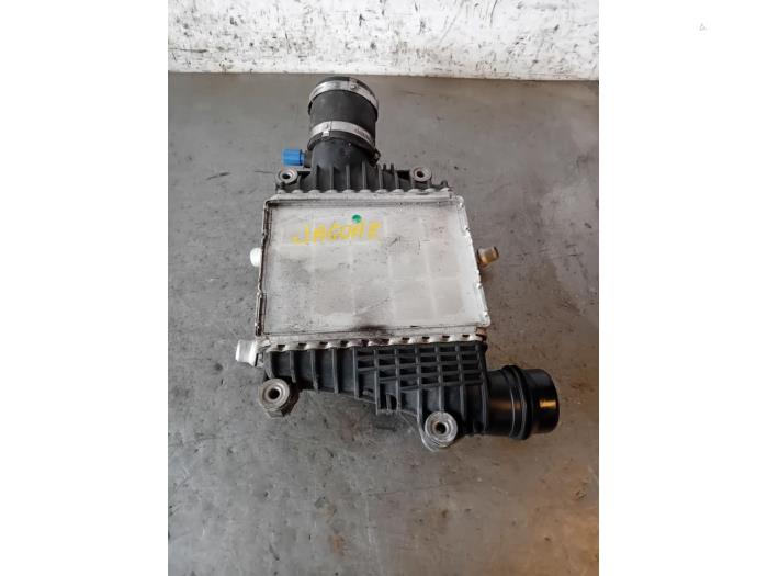 Usados Intercooler Jaguar XF (X260) 2.0d 163 E-Performance 16V Precio de solicitud ofrecido por Autohandel-Smet Gebroeders NV