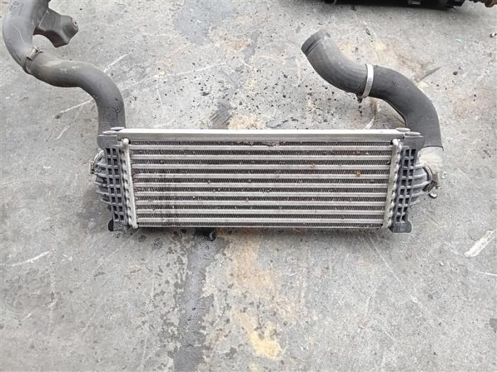 Used Intercooler Ford Transit Custom 2.0 TDCi 16V Eco Blue 105 Price on request offered by Autohandel-Smet Gebroeders NV