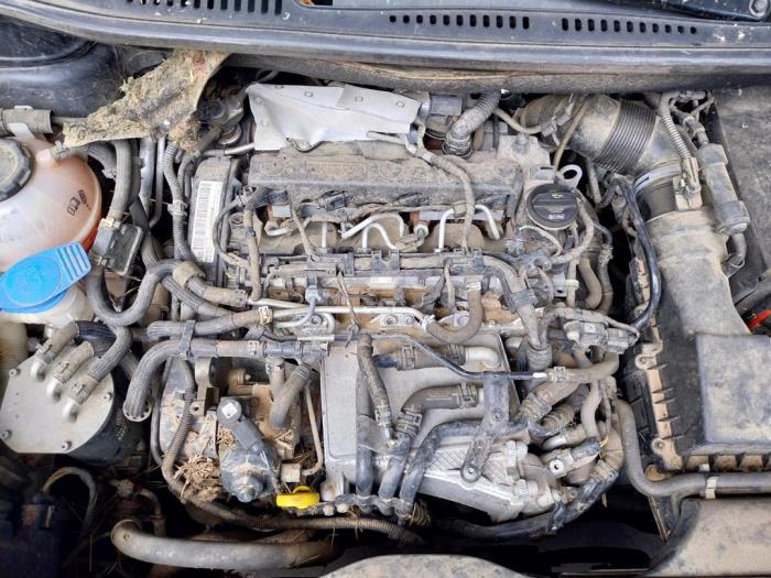 Engine Volkswagen Caddy IV 2.0 TDI 102 - DFS525928 DFSD