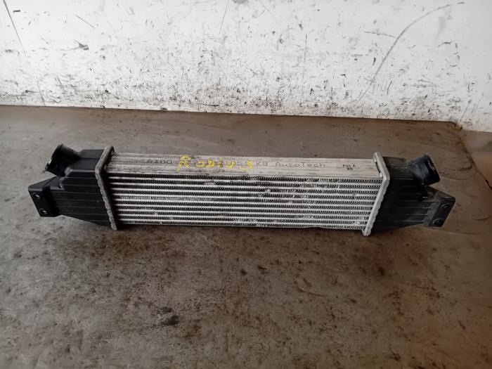Usados Intercooler Ssang Yong Rodius 2.2 SV 220 e-XDi 16V 4WD Precio de solicitud ofrecido por Autohandel-Smet Gebroeders NV