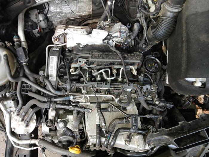 Used Engine Volkswagen Golf VII (AUA) 1.6 TDI 16V Price on request offered by Autohandel-Smet Gebroeders NV