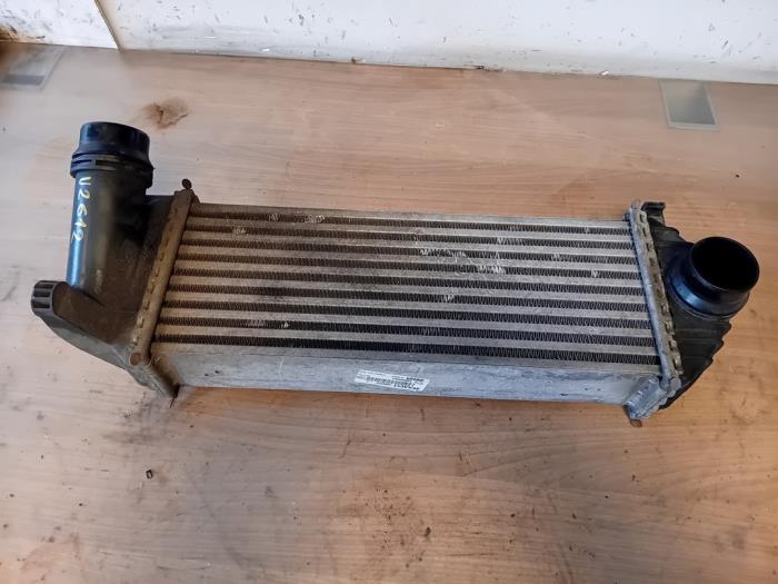 Intercooler Renault Kangoo Express (FW), 2008 1.5 dCi 75, Camionnette , Diesel, 1.461cc, 55kW (75pk), FWD, K9K808; K9KE8; K9K608; K9KB6; K9K628; K9KE6, 2010-09 (Occasion)