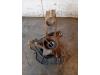 Citroën Jumper (U9) 2.0 Blue HDi 160 Achsschenkel links vorne