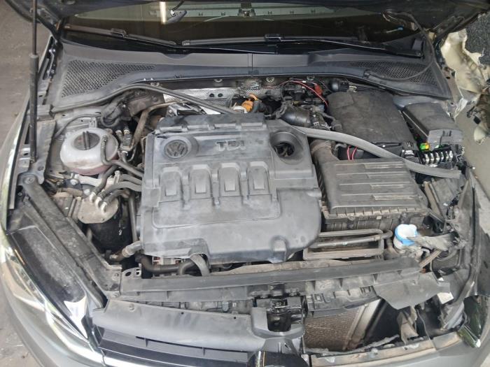 Used Engine Volkswagen Golf VII (AUA) 1.6 TDI BMT 16V Price on request offered by Autohandel-Smet Gebroeders NV