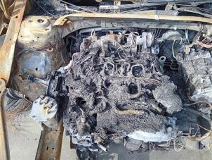 Engine from a Skoda Octavia Combi (NXAC) 2.0 TDI GreenTec 16V 2022