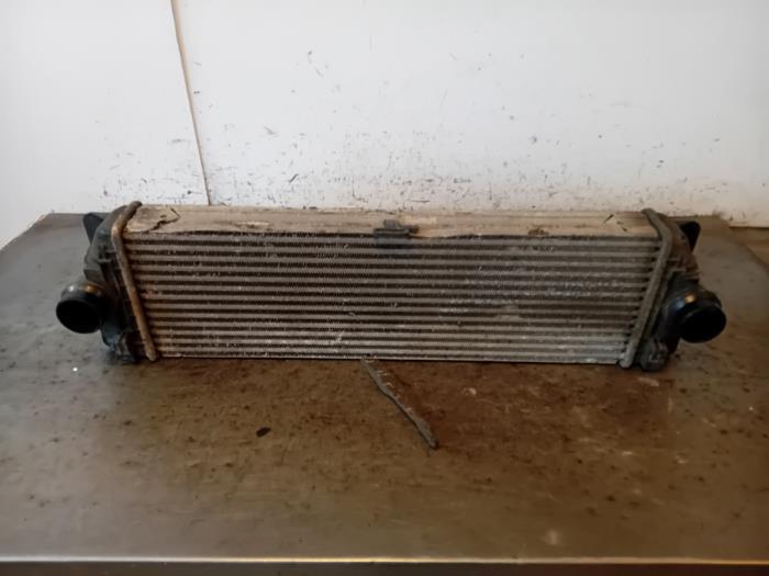 Usagé Intercooler Mercedes Sprinter 3,5t (906.63) 313 CDI 16V Prix sur demande proposé par Autohandel-Smet Gebroeders NV
