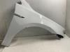 Front wing, right from a Volkswagen Golf VII (AUA), 2012 / 2021 1.6 TDI BlueMotion 16V, Hatchback, Diesel, 1.598cc, 81kW (110pk), FWD, CRKB, 2013-01 / 2017-03 2014
