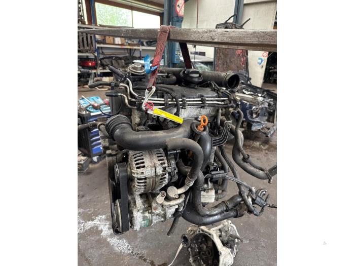 Used Engine Volkswagen Golf V (1K1) 1.9 TDI Price € 275,00 Margin scheme offered by Autodemontage van der Iest