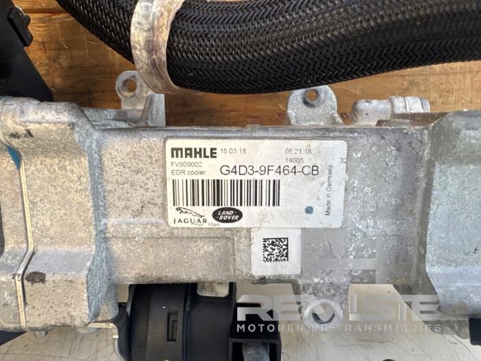EGR cooler Landrover Velar - JDE39367 204DTD - RH Revisie