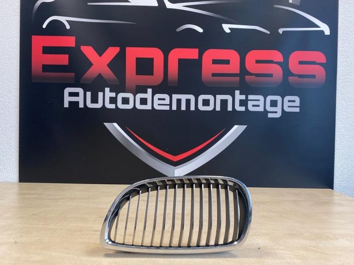 Używane Grill BMW 1-Serie Cena € 10,00 Procedura marży oferowane przez Express Autodemontage