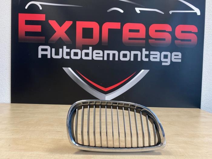 Begagnade Grill BMW 1-Serie Pris € 7,00 Marginaltabell erbjuds av Express Autodemontage
