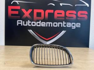 Used Grille BMW 1-Serie Price on request offered by Express Autodemontage