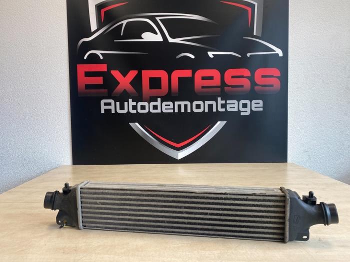 Intercooler Opel Corsa D 1.3 CDTi 16V ecoFLEX 55702171 A13DTR