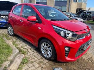 Used Wing mirror, right Kia Picanto (JA) 1.0 12V Price € 145,00 Margin scheme offered by Express Autodemontage
