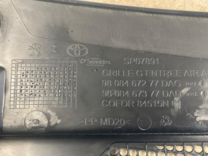 Torpedgaller från en Peugeot Expert (V1/VA/VB/VE/VF/VT/VY) 2.0 Blue HDi 145 16V 2023