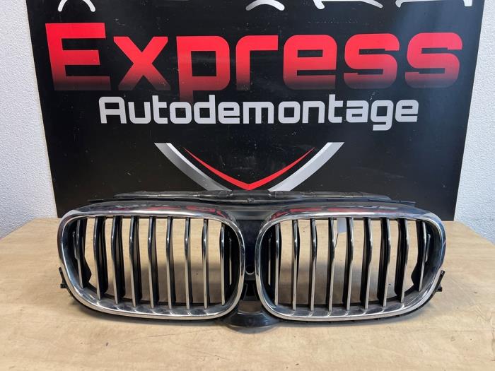 Używane Grill BMW 7 serie (G11/12) 750i,Li, V8 32V Cena na żądanie oferowane przez Express Autodemontage