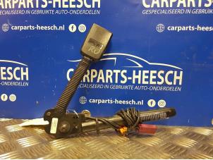 Usados Lengüeta cinturón de seguridad derecha delante Ford C-Max Precio € 21,00 Norma de margen ofrecido por Carparts Heesch