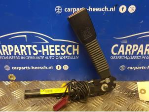 Gebrauchte Gurtsrammer links Ford Focus 2 1.8 16V Preis € 52,50 Margenregelung angeboten von Carparts Heesch
