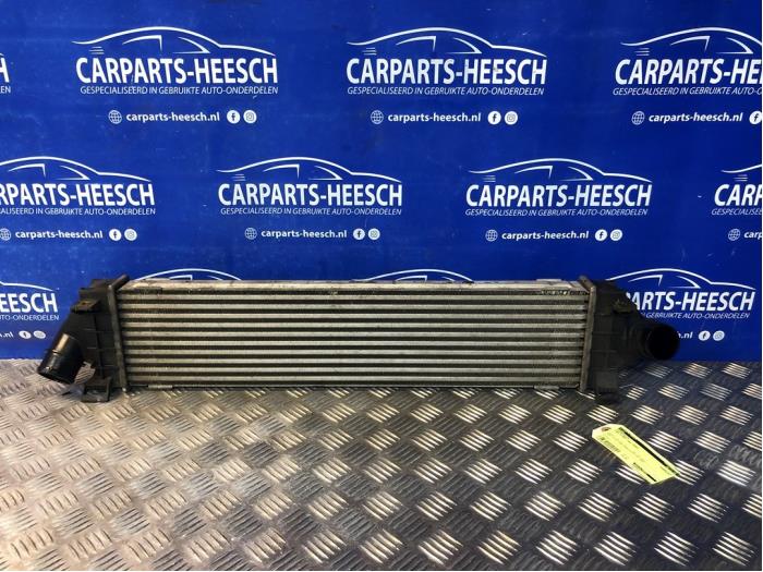 Usagé Intercooler Ford S-Max (GBW) 2.0 TDCi 16V 140 Prix € 50,00 Règlement à la marge proposé par Carparts Heesch